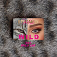 EYECANDY CONTACT LENS  B10 WILD CAT – PWR 0